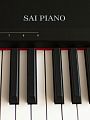 Sai Piano P-9BT-BK w/o ST