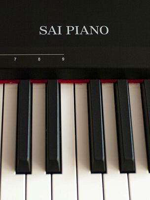 Sai Piano P-9BT-BK w/o ST